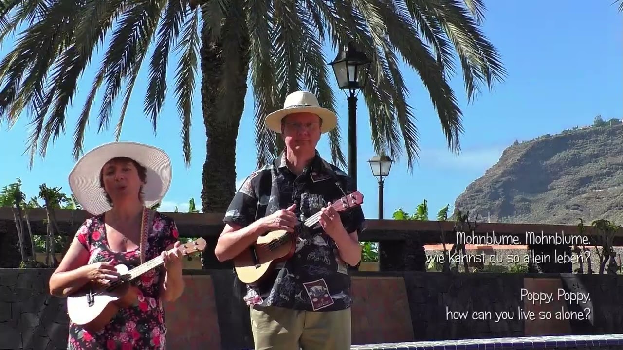 Amapola - Ukulele & Timple Cover Song, 1928  - José Lacalle (Musik) & Luis Roldán (Text)