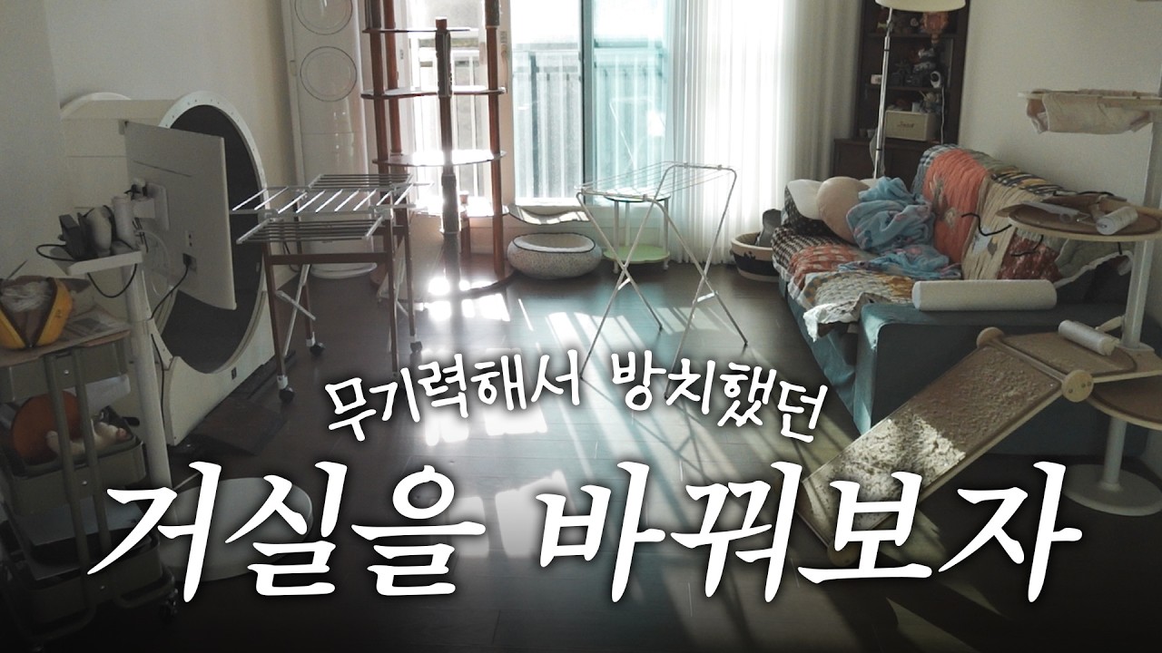고양이를 위해 거실을 좌식으로 바꿔버렸습니다