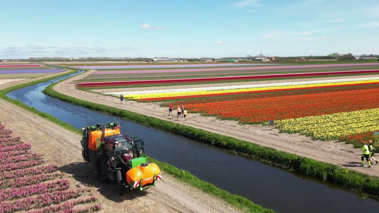 Aftermovie Bloeiend Zijpe 2025