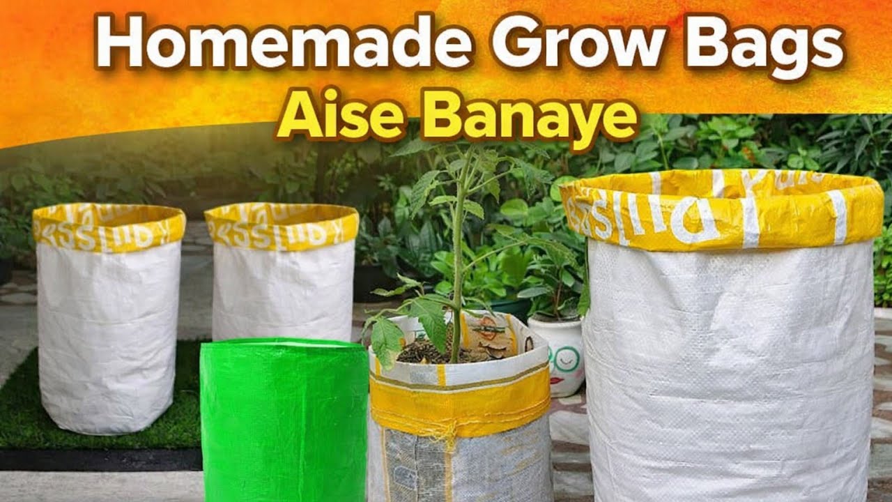 Homemade Grow bags | Terrace Garden 