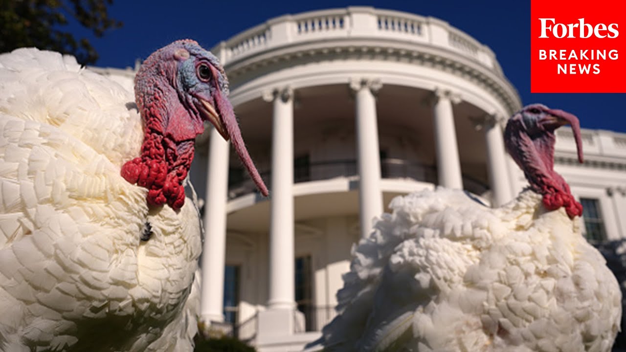 Post-Election Poll On Gratitude: Folks Are Divided But They&rsquo;ll &lsquo;Put it Aside For Thanksgiving&rsquo;