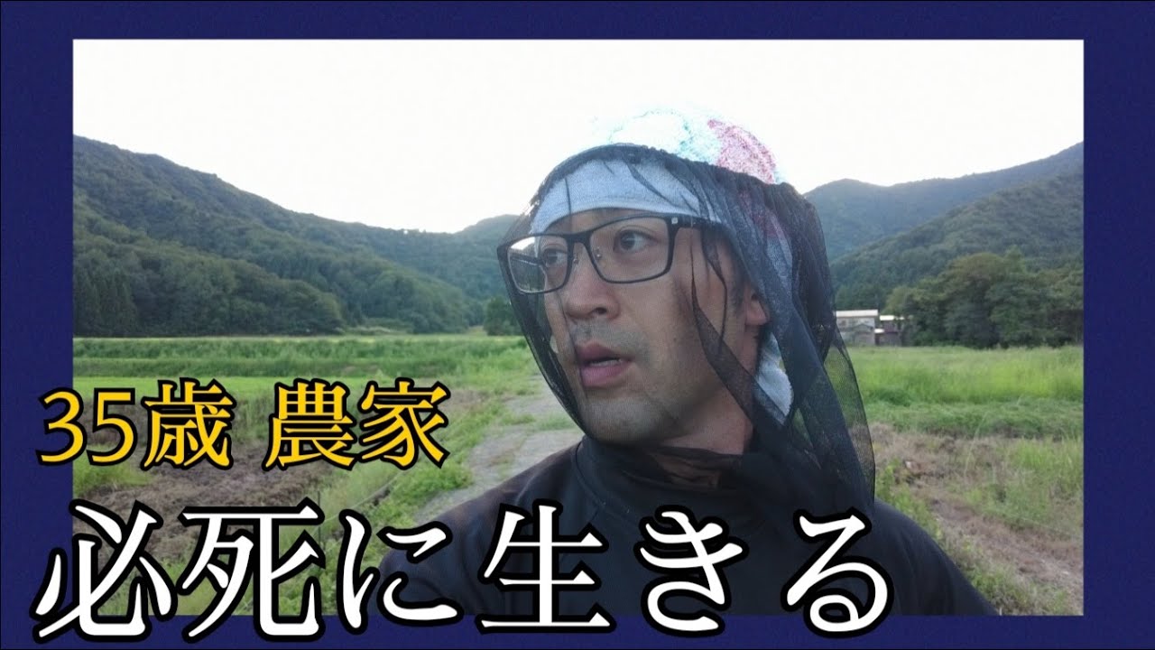 【35歳社会人失格】必死に生きる農家の一日