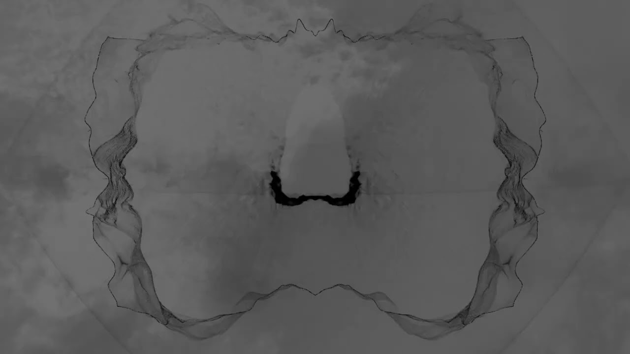 Crook - Language 2.0 (Visualizer)