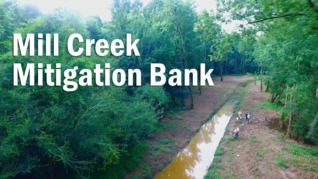 Mill Creek Mitigation Bank
