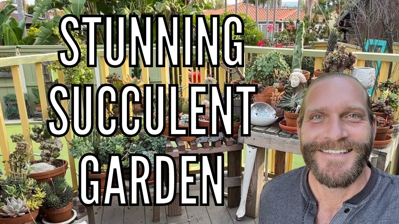 Stunning Succulent Garden | Drought Tolerant Plants | Container Gardening | California Garden Tour