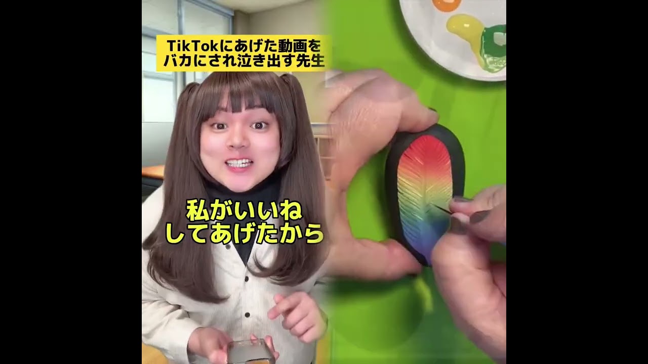 ショートビデオ（kacho_kun）ストレス解消動画