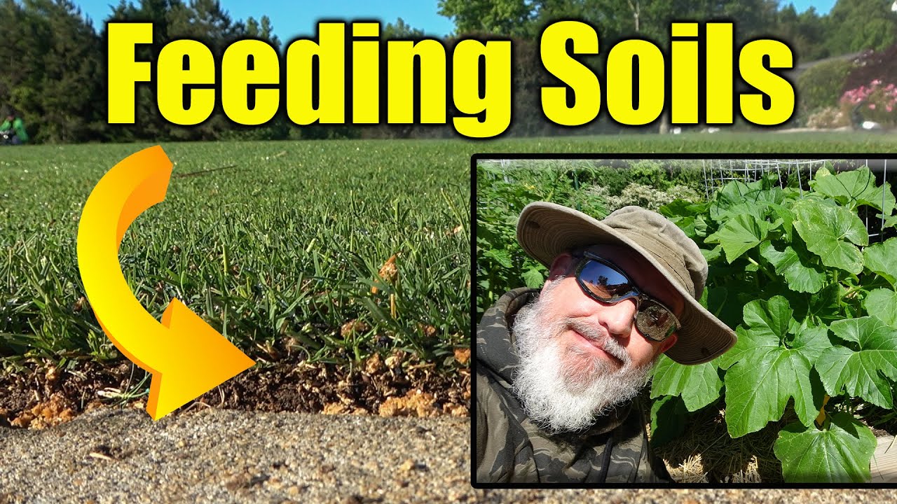 How to Improve Your Lawn and Garden Soil
