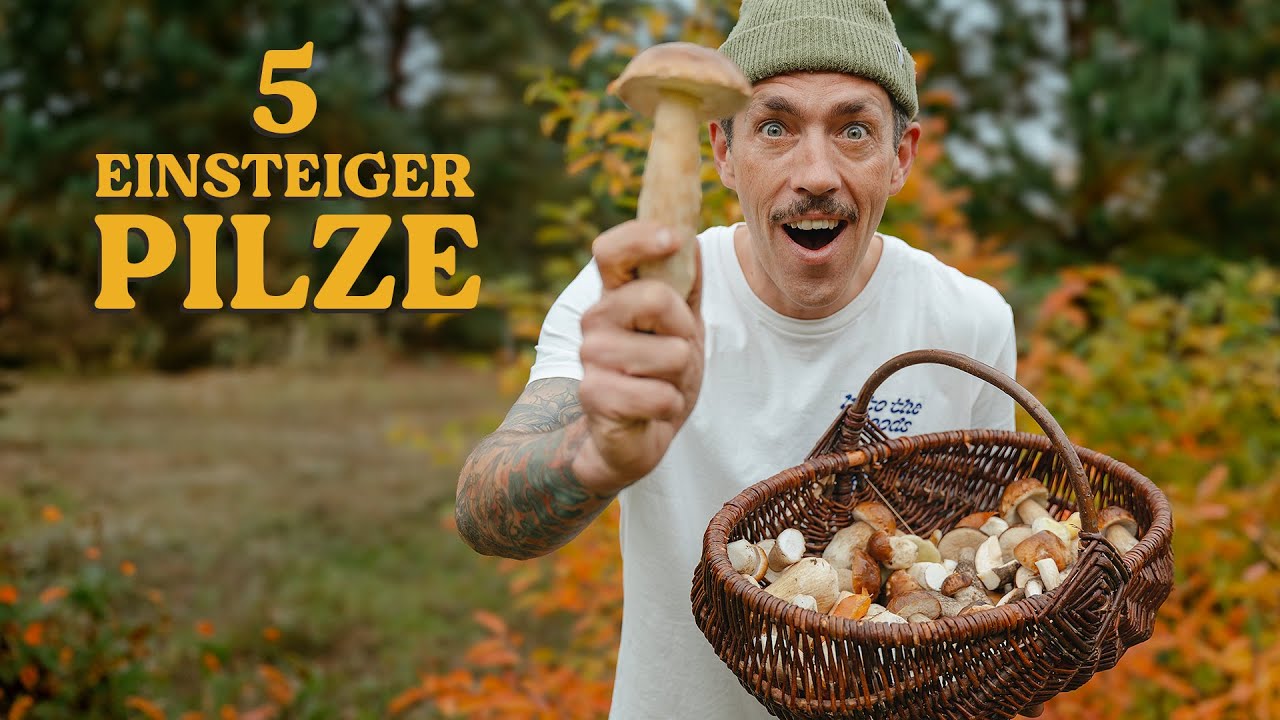 5 Speisepilze einfach erklärt - Merkmale, Vorkommen, Eigenschaften