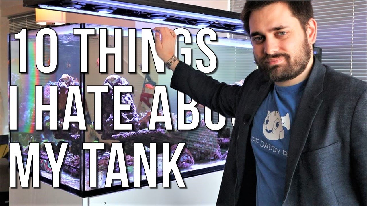 😡 10 Things I Hate about the Red Sea Peninsula 650