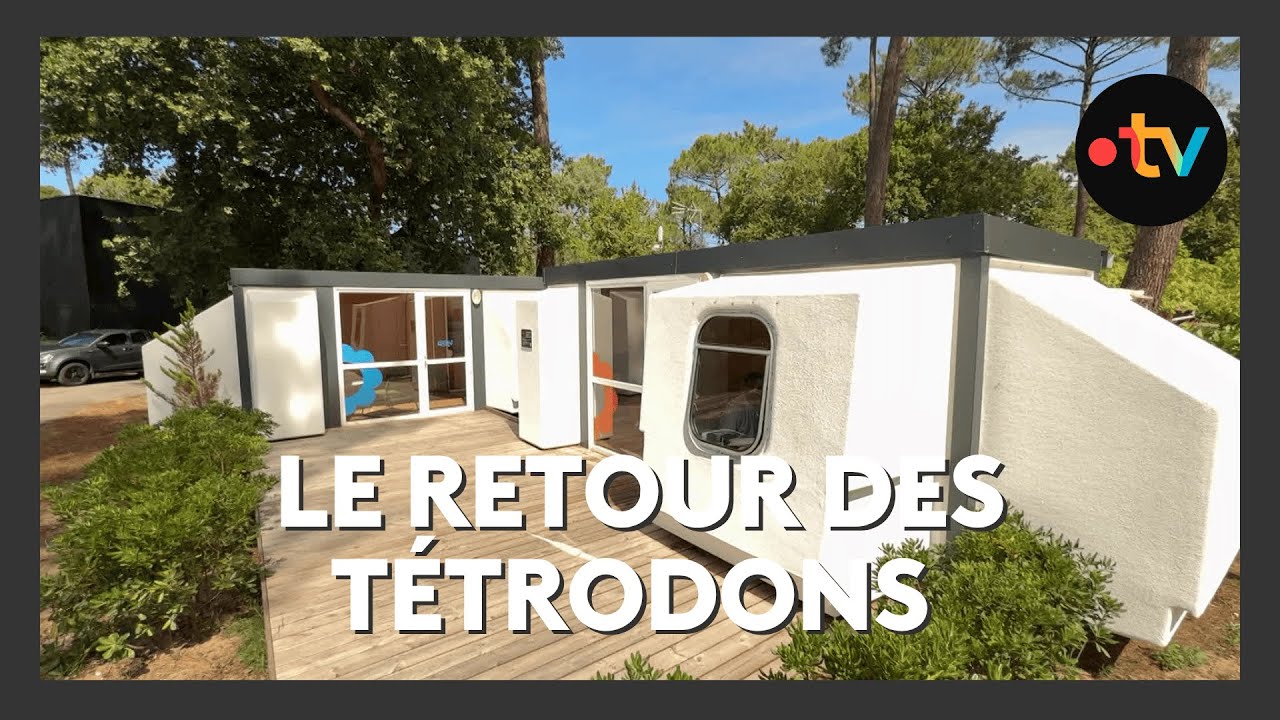 Ancêtres des mobil-homes, les tétrodons de retour au camping