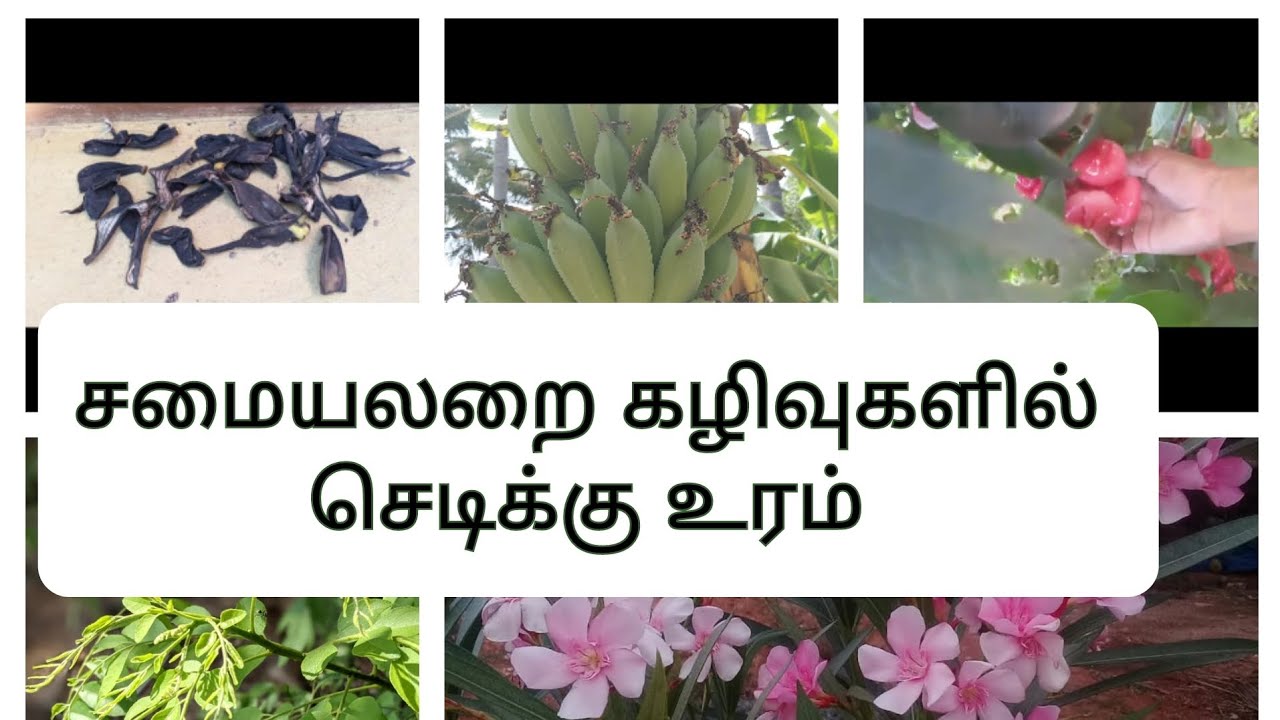 kitchen waste turned as fertilizer/#kitchen wastes#plant#growth#fertilizer