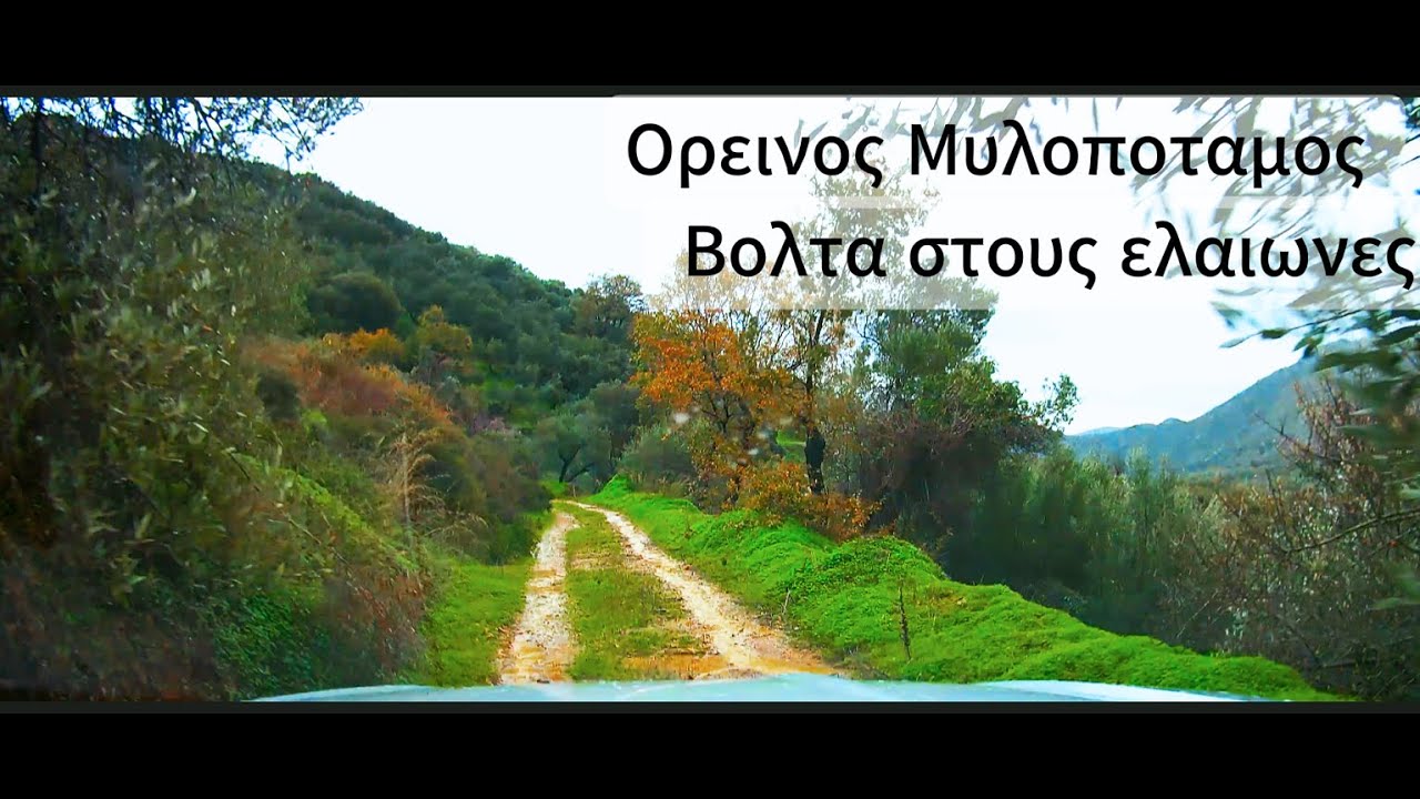 Βόλτα στους ελαιωνες του Ορεινού  Μυλοπόταμου  #mylopotamos #crete