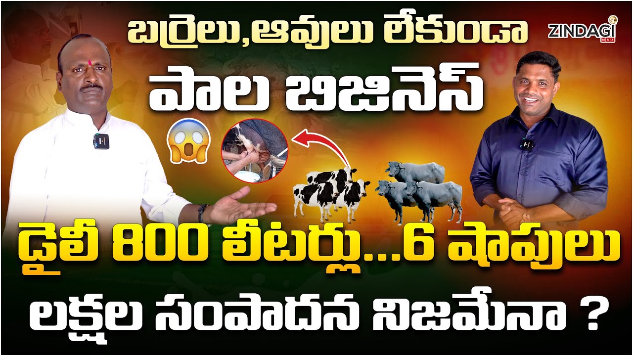 Milk Business In Telugu || Dairy Farm Business