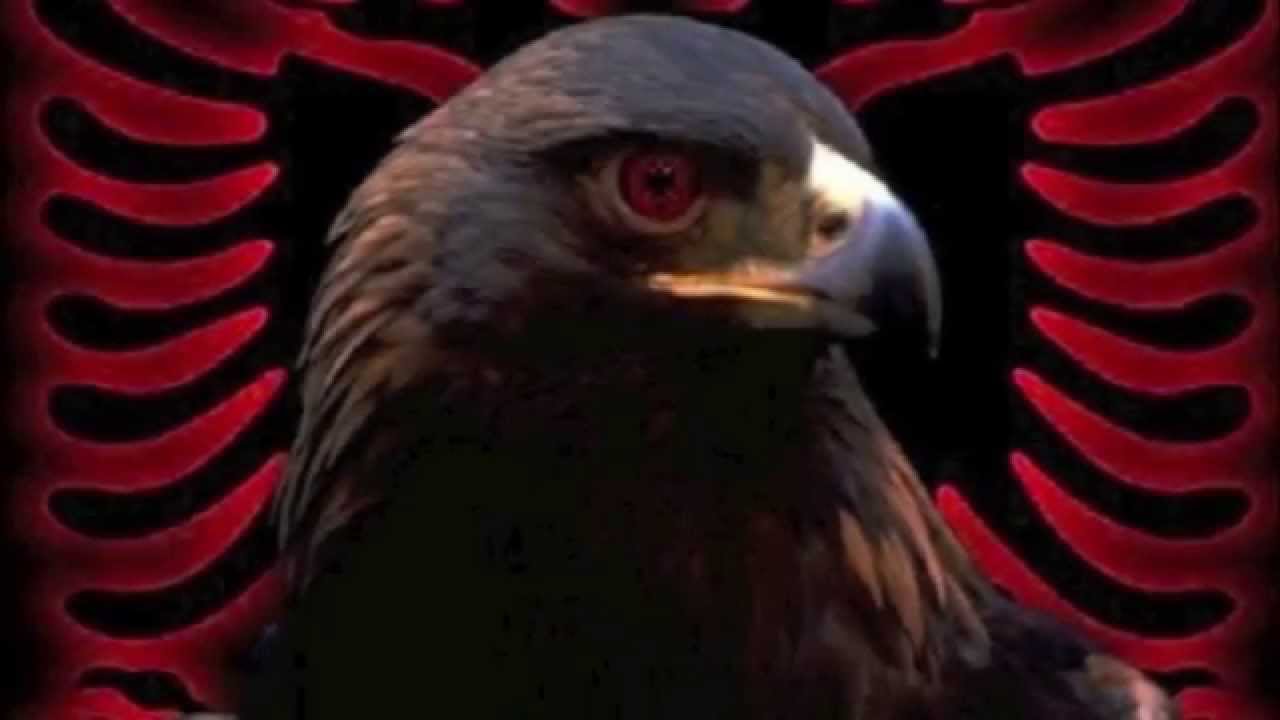 Xhamadani Vija Vija - Shpend Rugova - 2015