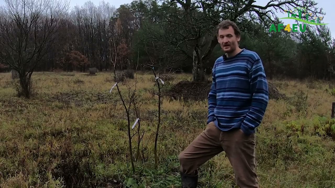 VIDEO 3 Ovocný sad