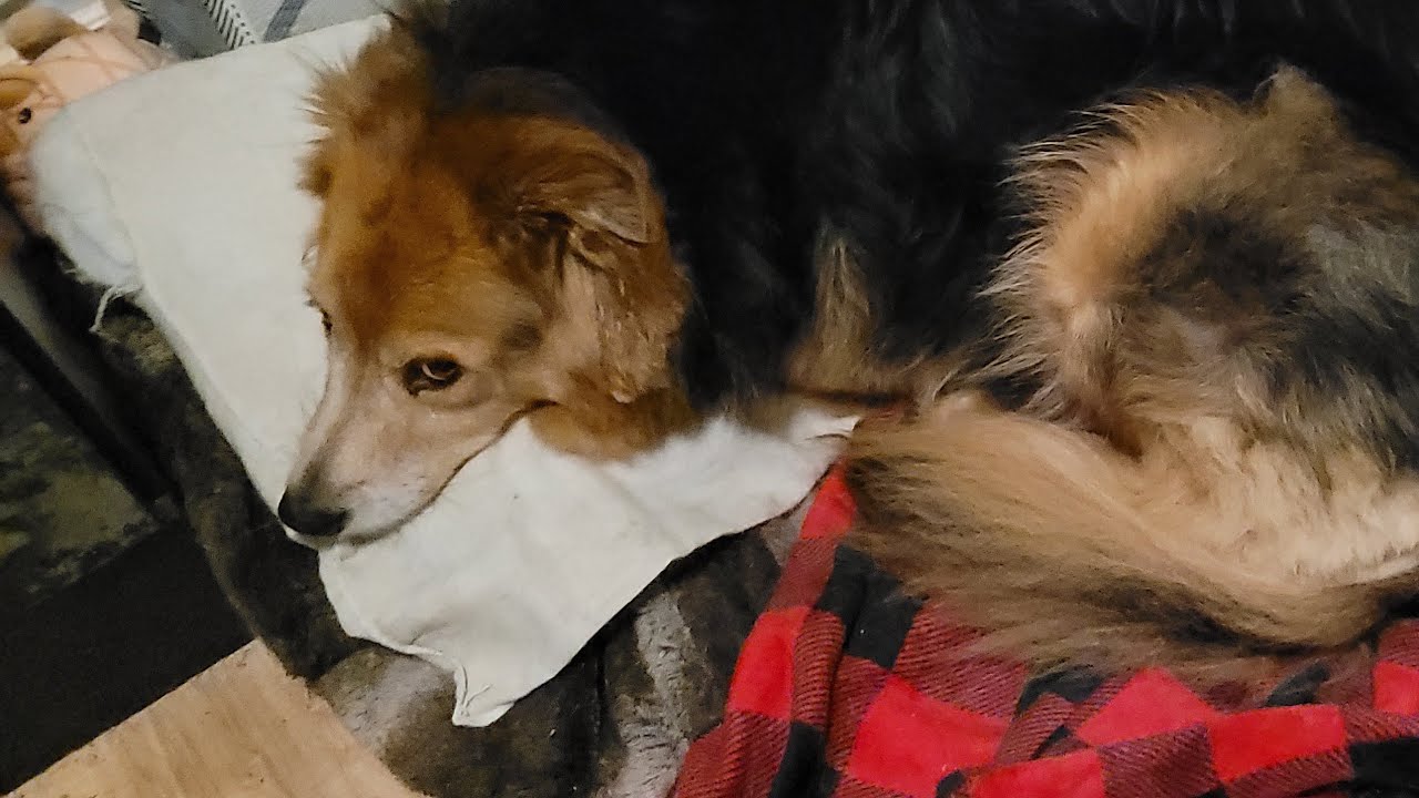 Live with remi Jan 6 2026 sorry not sure why no sound