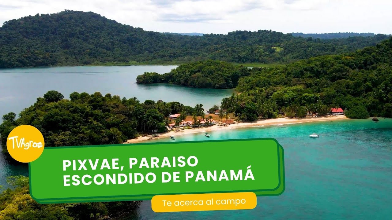 Pixvae, Paraiso escondido de Panamá - TvAgro por Juan Gonzalo Angel Restrepo