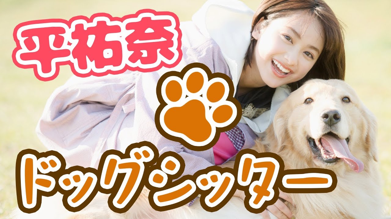 ドッグシッター・平祐奈がワンちゃんと心を通わせる！【平祐奈チャレンジYuna★Tube】