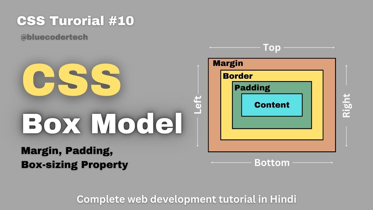 CSS Box Model Part 2: Learn about Padding, Border, and Margin in Hindi | Learn Web Developement #28