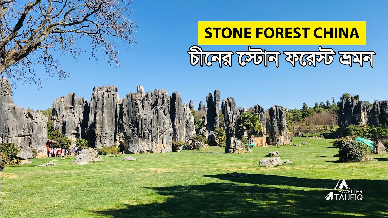 চীনের বিস্ময়কর পাথুরে বন বা স্টোন ফরেস্ট ভ্রমন। STONE FOREST CHINA