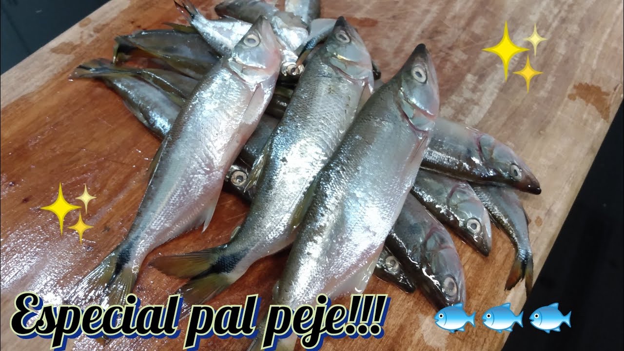 Filet de dientudo salado para pesca de pejeees