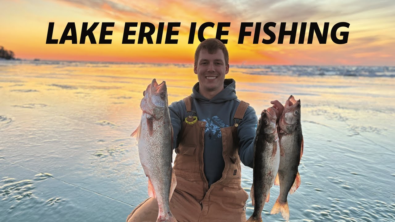 Lake Erie Walleye Ice Fishing! (Catch Clean & Cook)