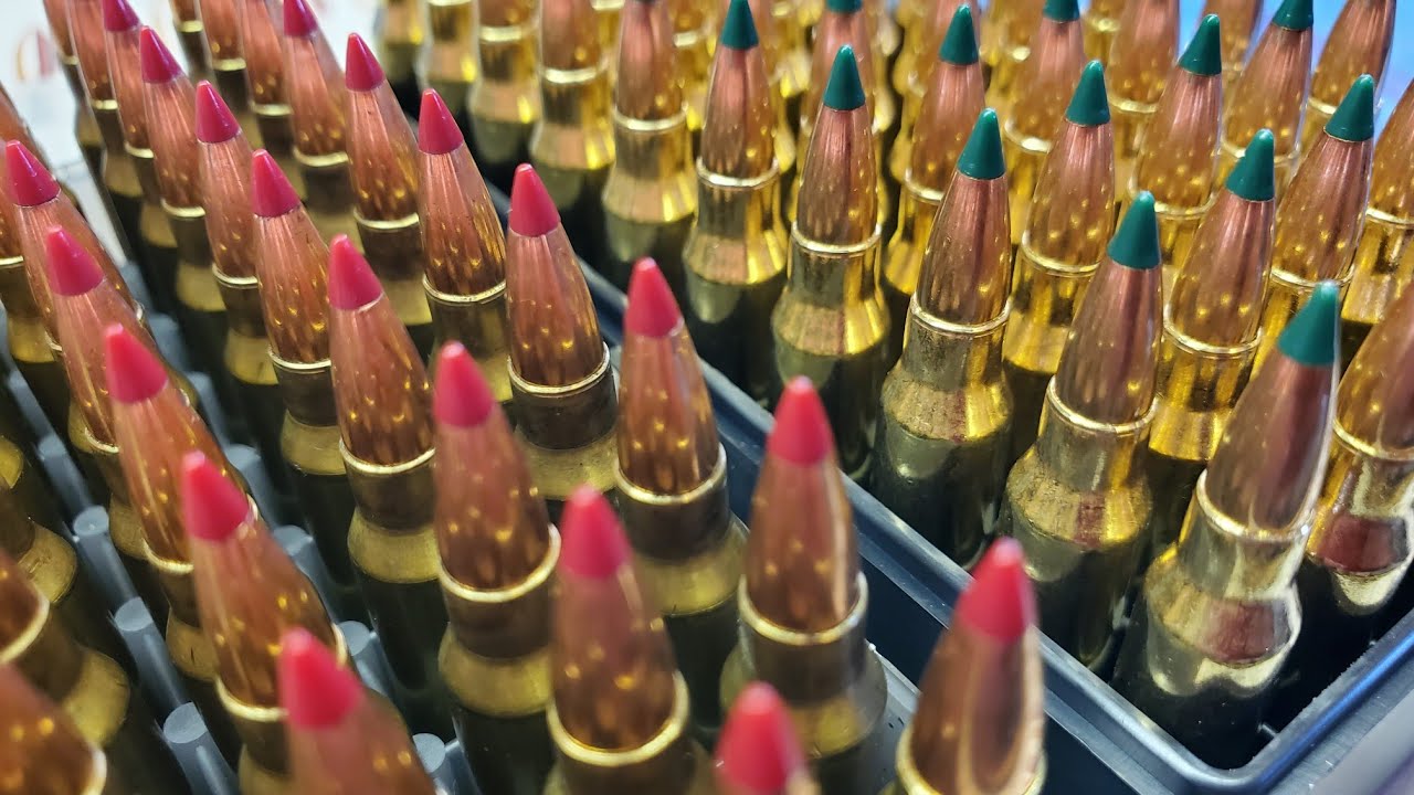 Minutemen Rifle Part 2 Ammo selection and flexibility layout vol 4