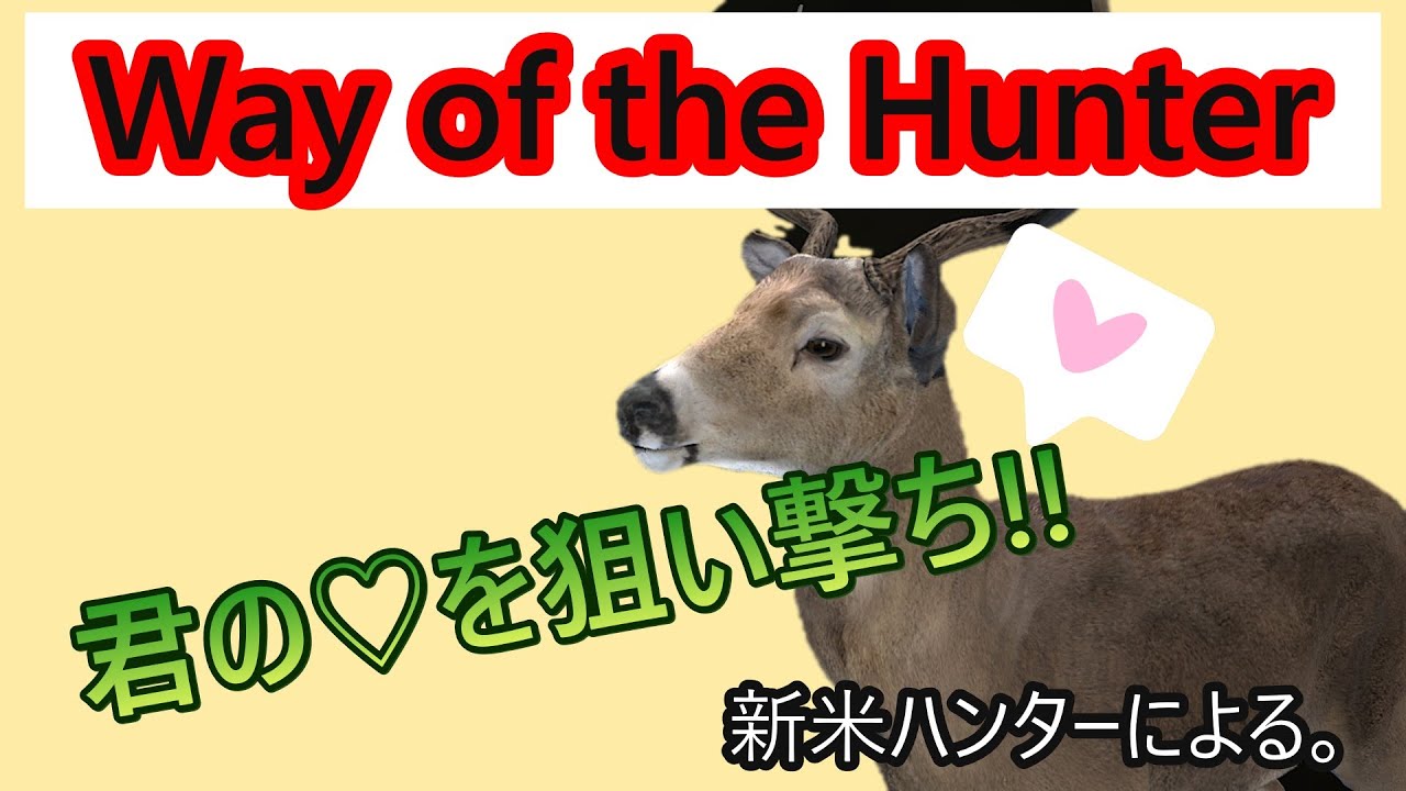 【Way of the Hunter】配信　　まいどです～。一撃で仕留める！本日もよろしくお願いします。