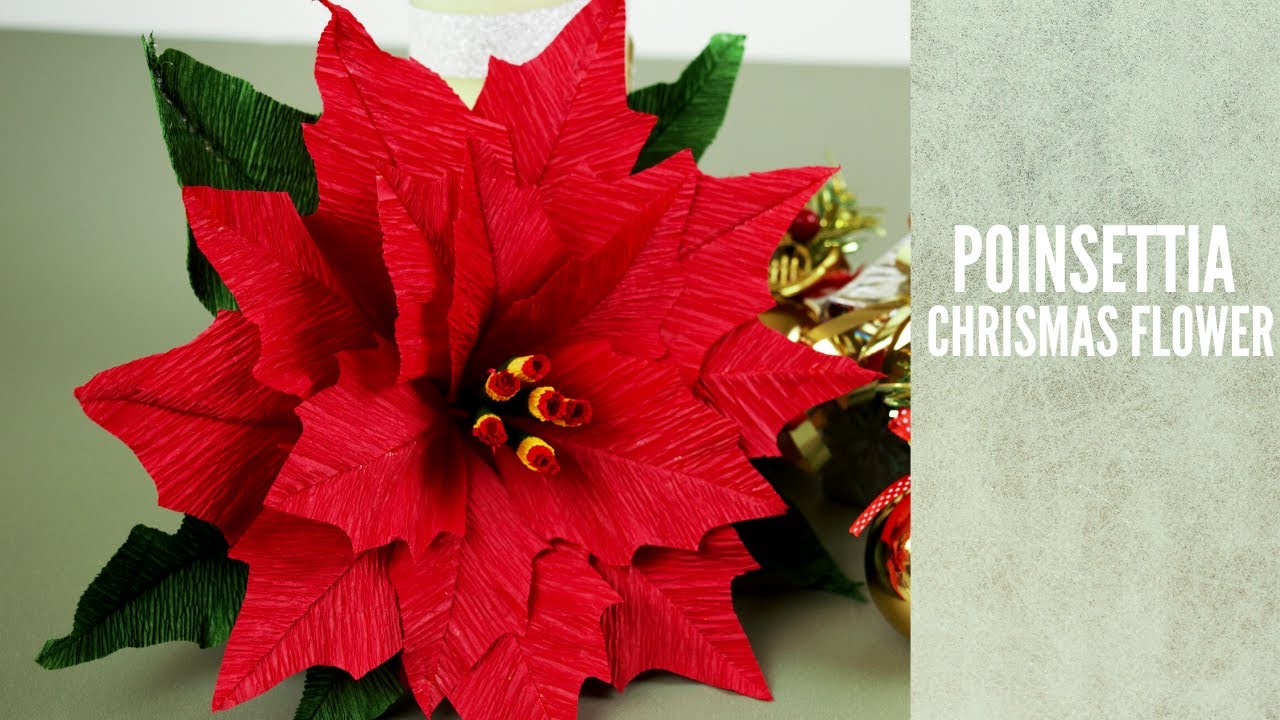 Poinsettia  Christmas flower DIY