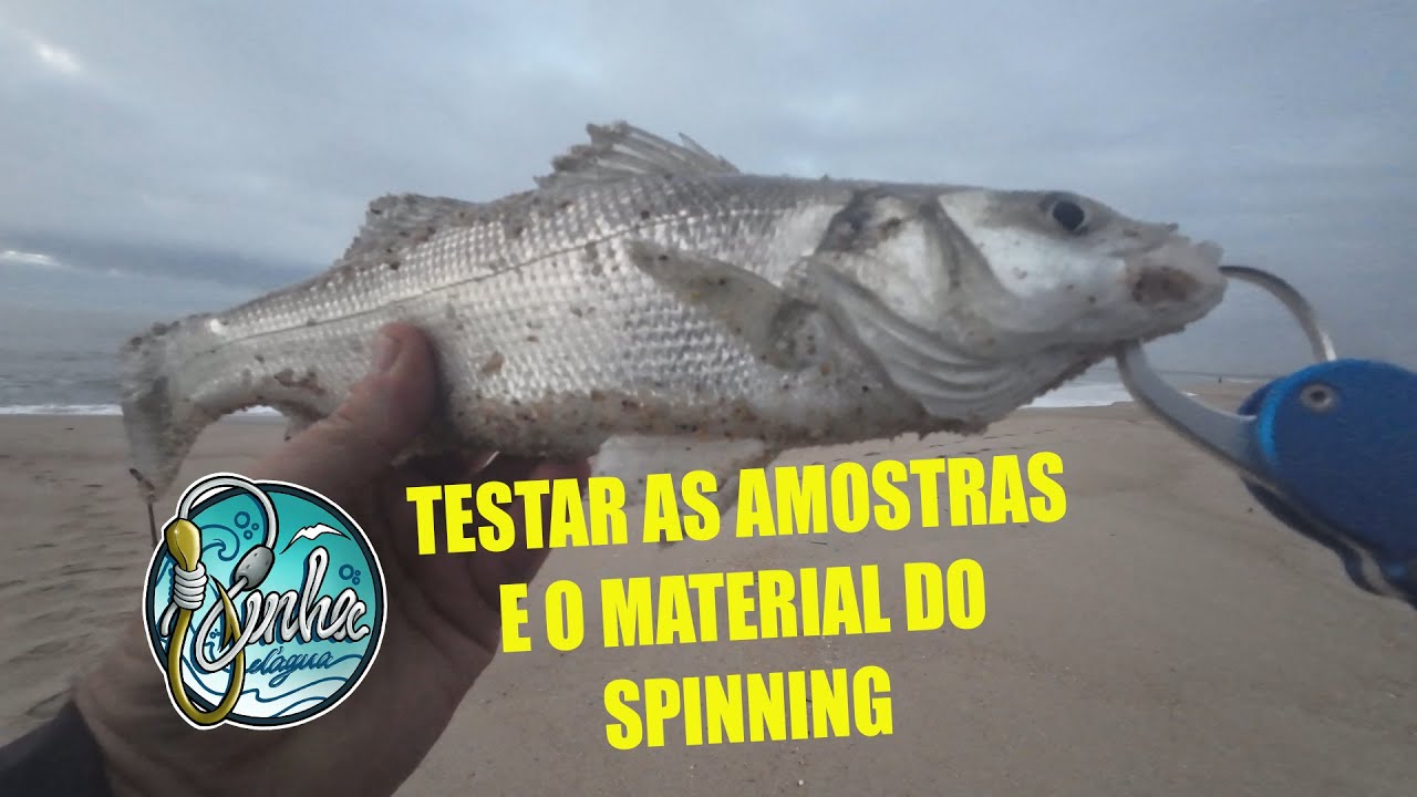 SEABASS -TESTAR AMOSTRAS, LANÇAR E ANIMAR DURANTE A PESCA