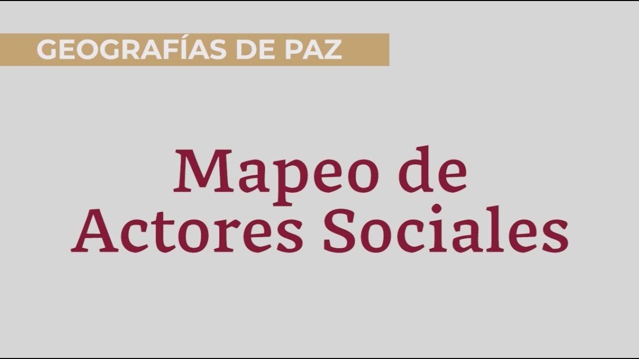 MAPEO DE ACTORES SOCIALES