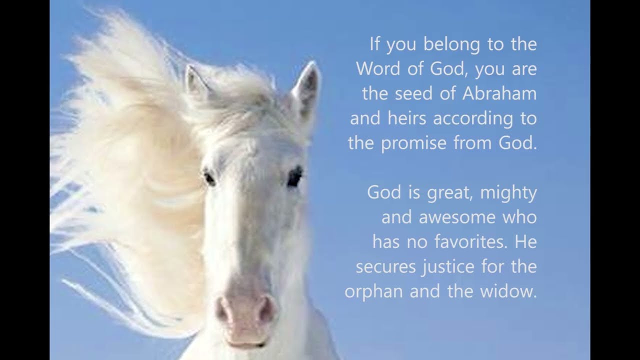 We give thanks and praise to God who performed such a great and amazing miracle.