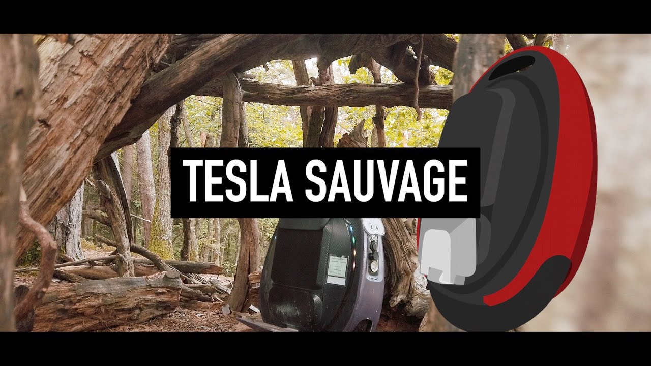 Cette Tesla est sauvage !