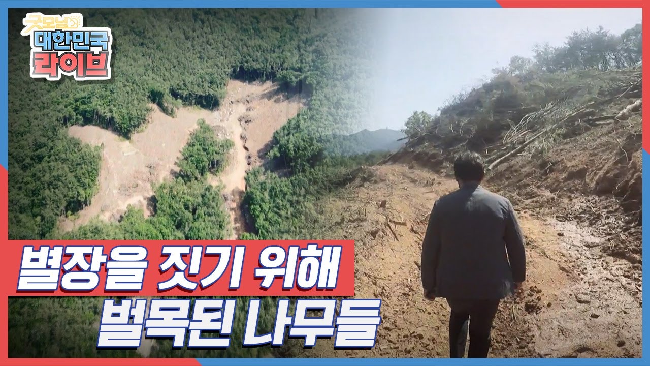 별장을 짓기 위해 수 백년 된 나무를 자른다? 우리 마을 산에 과연 무슨 일이? KBS 210604 방송