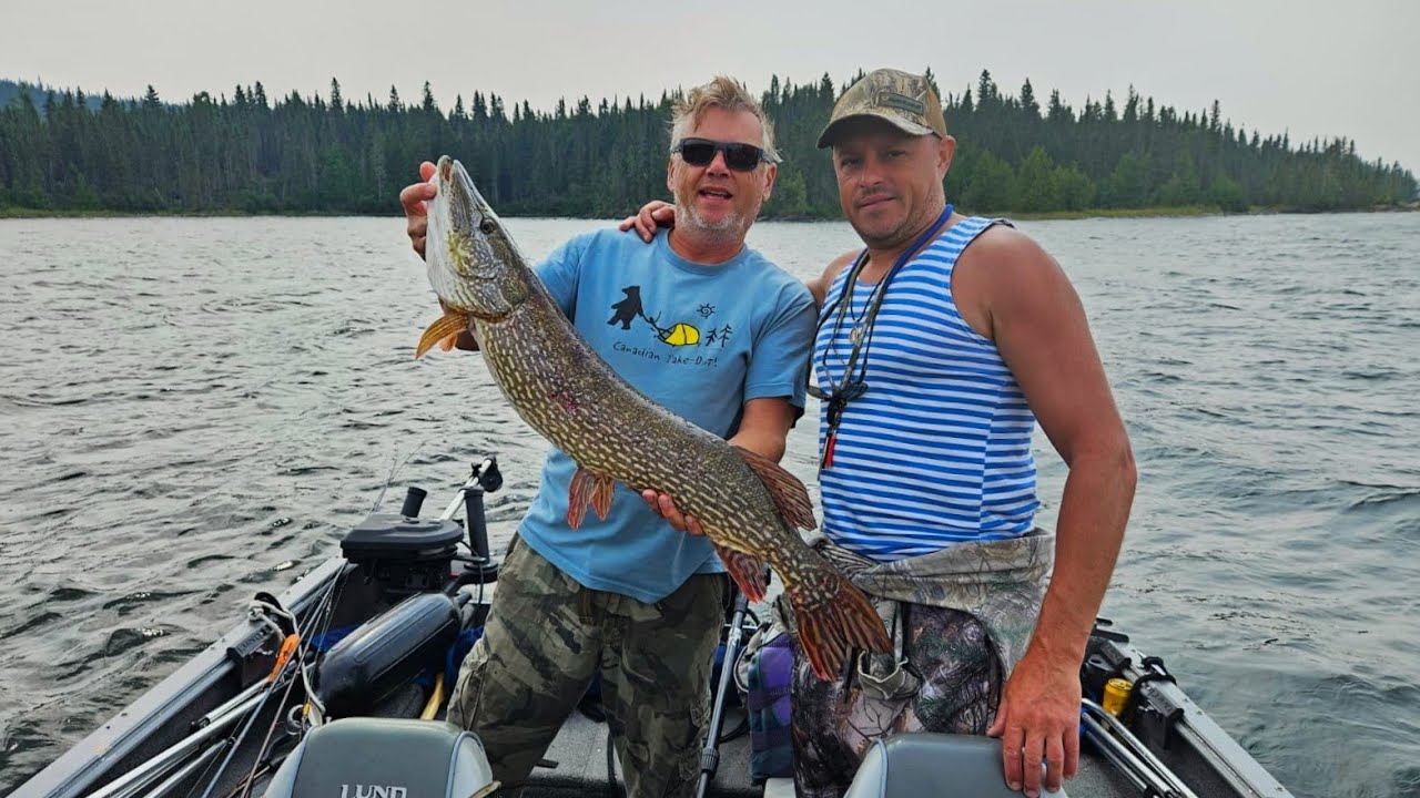 Wedkowanie w Kanadzie - Lake Nipigon 2025 part 2