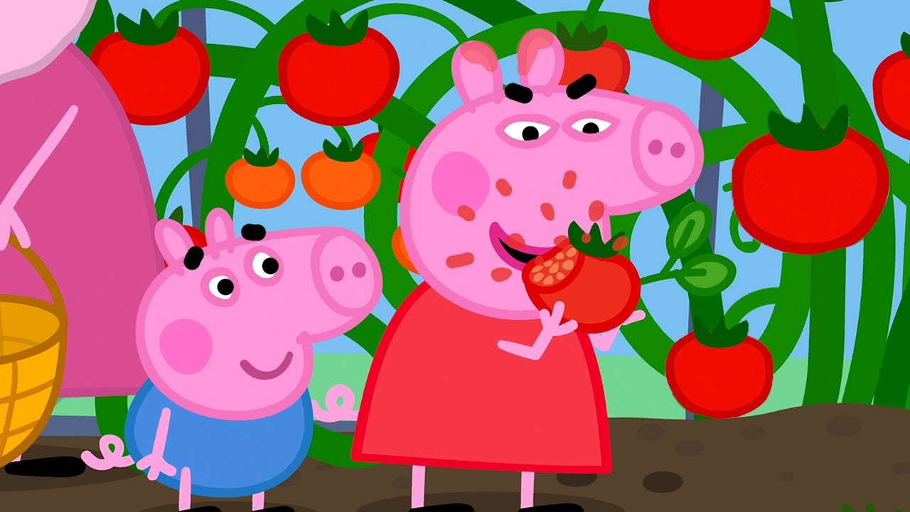 Grandad Dog's BIG Tomatoes 🍅 Best of Peppa Pig 🐷 Cartoons for Children