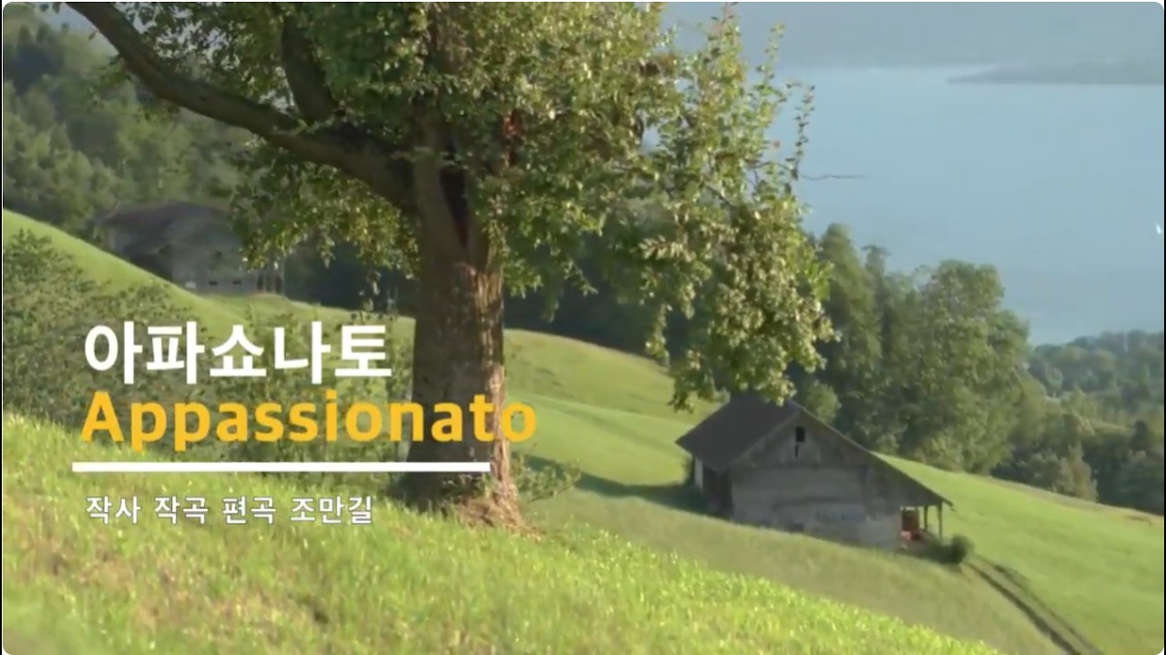 아파쇼나토(Appassionato)