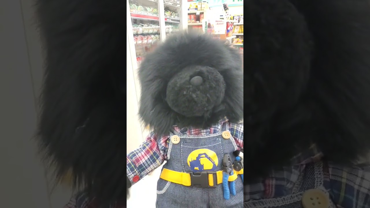 Gene The Bear - IGA 10/02/2024