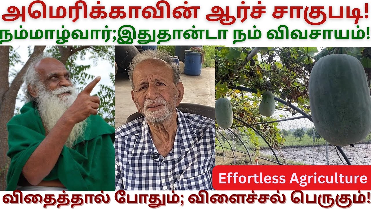 தென்னையில் 300 காய்கள் | Nammalvar | Chengalpattu Mukundan | US Agriculture