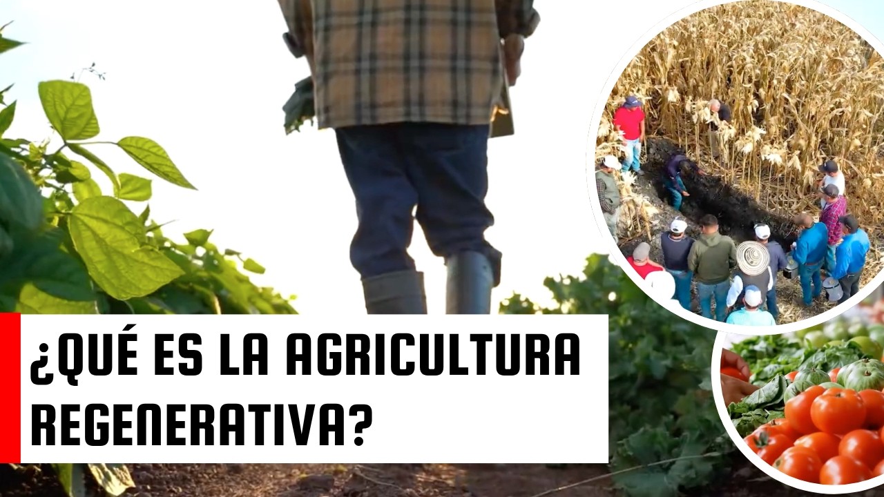 Agricultura Regenerativa | Proyecto Mipyme