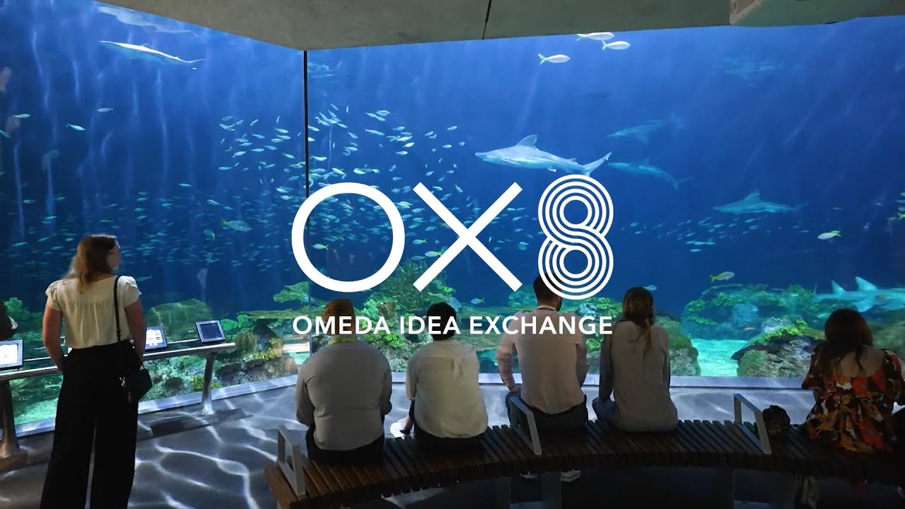 OX8 Recap in Under 2 Minutes | Omeda Idea Exchange Highlights
