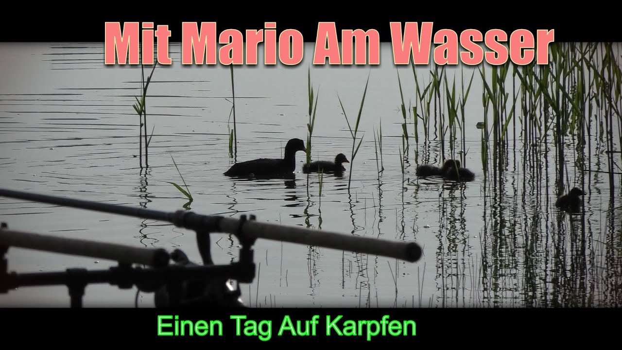 Ein Tag Auf Karpfen