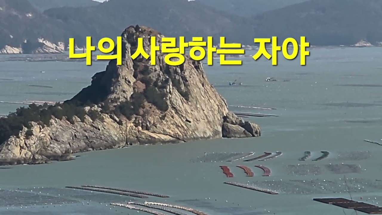 2026년 1월 31일