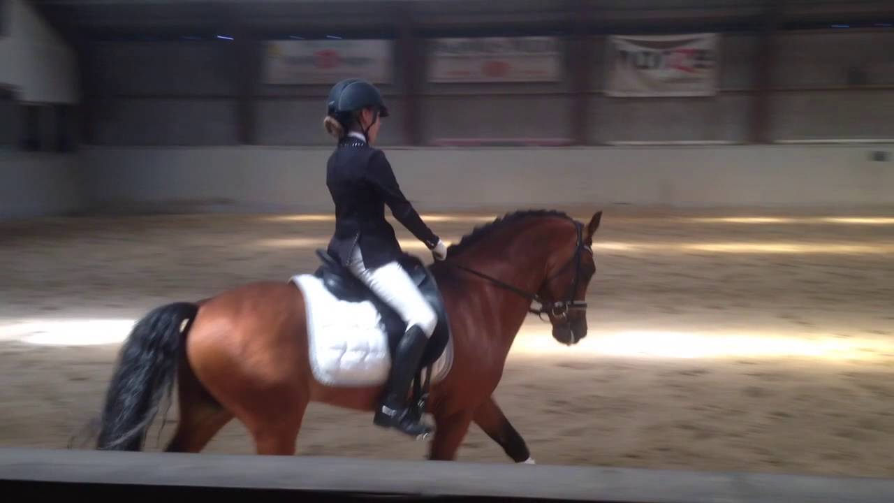 Lc1 pony 1 plads med 75,8 %