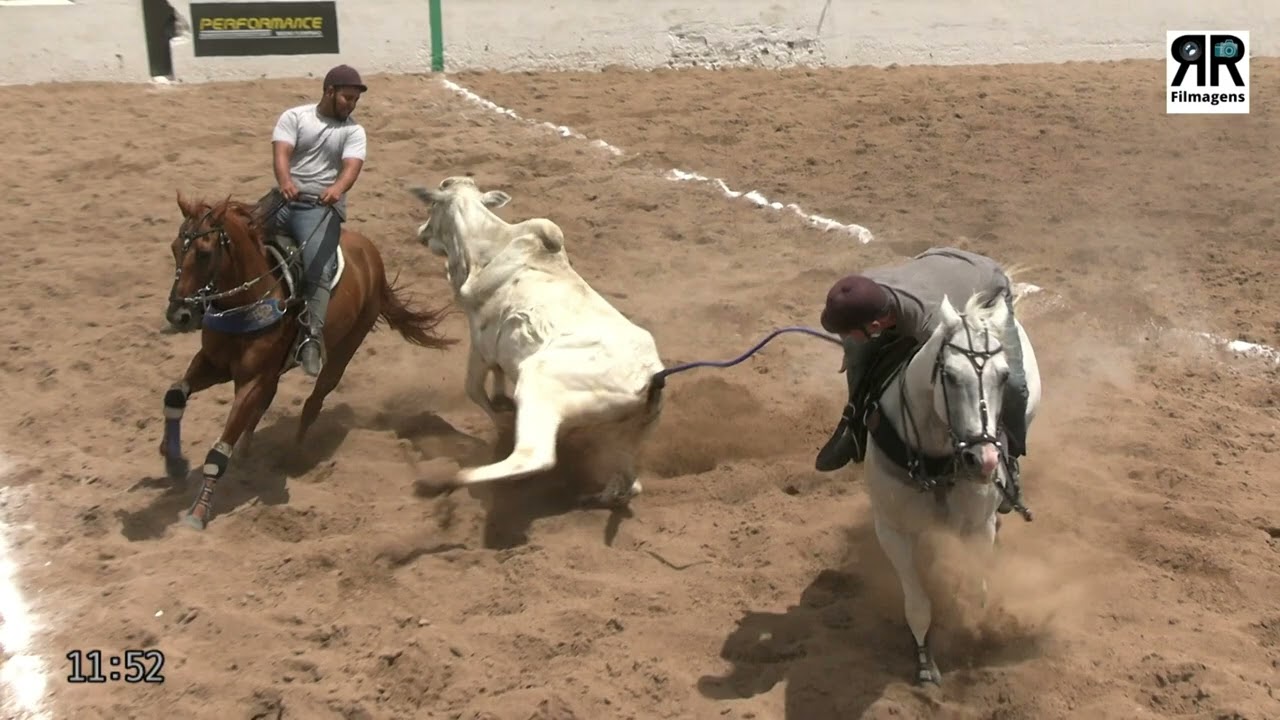 Disputa Master, 4ºMini Vaquejada, Parque Marruá, Glória do Goitá - PE 07/12/2025