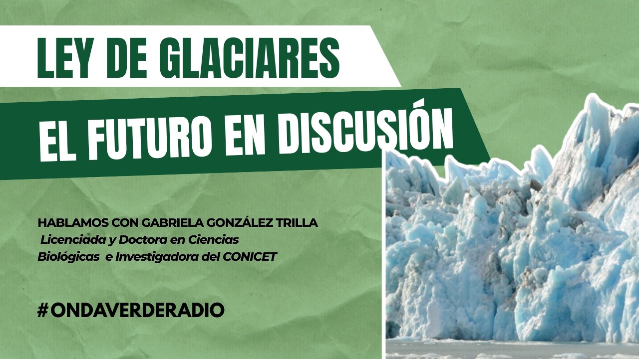 Onda Verde en REC🟢 | ¿Qué quieren cambiar en la Ley de Glaciares?
