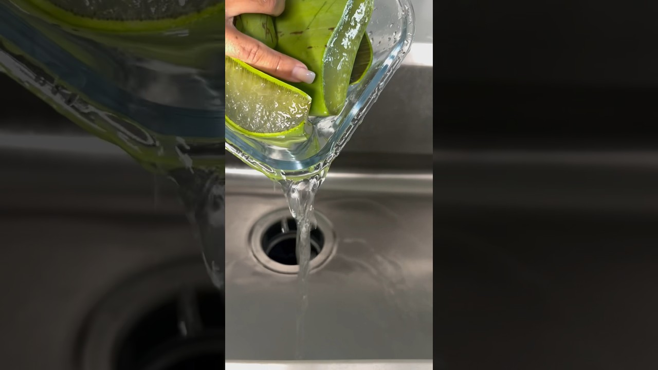 How to remove poison in aloe vera plant for hair growth pt.1  #shorts #hair