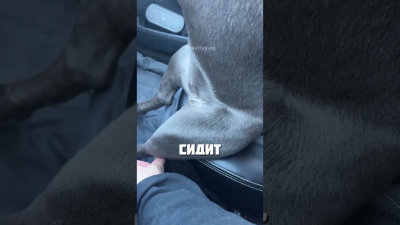 ТАК УДОБНЕЕ @tavriyavlg