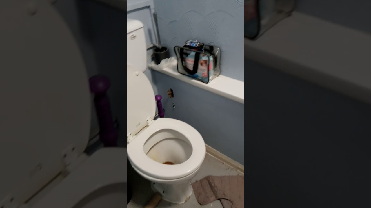 The bathroom before green monkey CBD