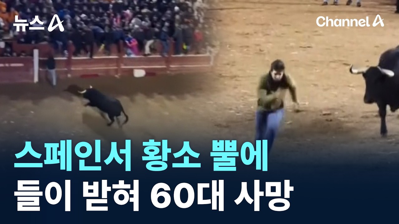 스페인서 황소 뿔에 들이 받혀 60대 사망 / 채널A / 뉴스A